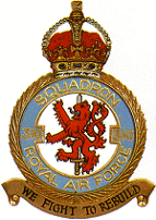 raf310sq.gif